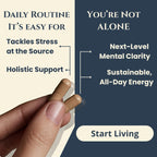 The Root & Rise System™