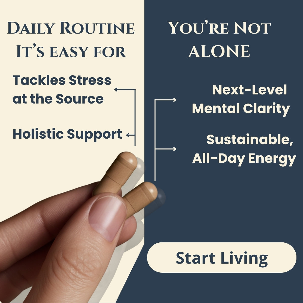 The Root & Rise System™